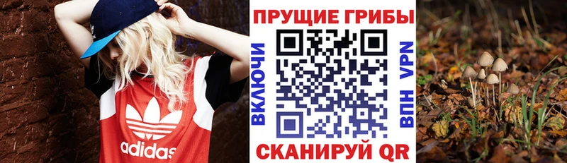 Галлюциногенные грибы мицелий  Купить  Краснослободск 
